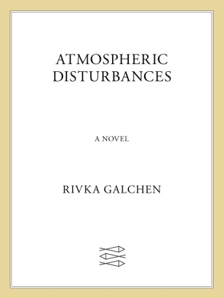 Cover image: Atmospheric Disturbances 9780374200114