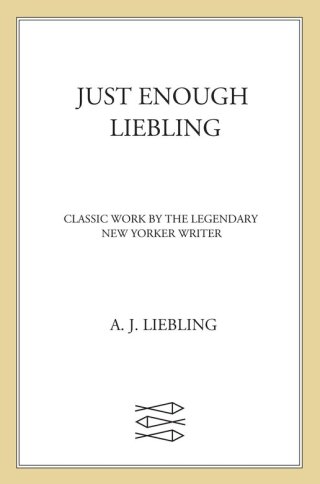 表紙画像: Just Enough Liebling 9780374104436