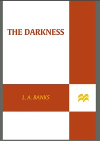 Cover image: The Darkness 9780312949143