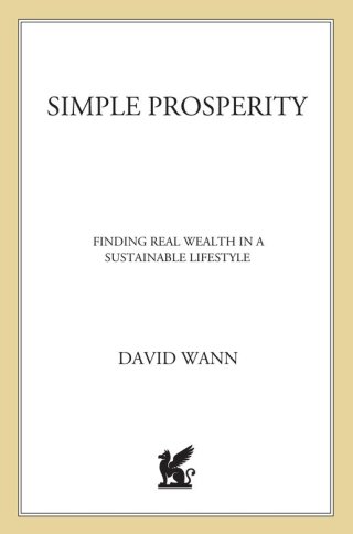 Imagen de portada: Simple Prosperity 9780312361419