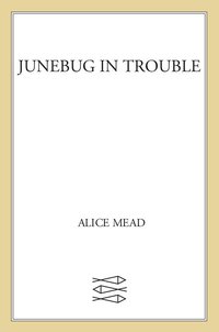 Cover image: Junebug in Trouble 9780374339692