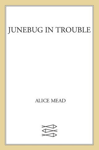 Cover image: Junebug in Trouble 9780374339692