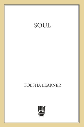 Imagen de portada: Soul 9780765320100