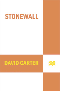 Cover image: Stonewall 9780312671938