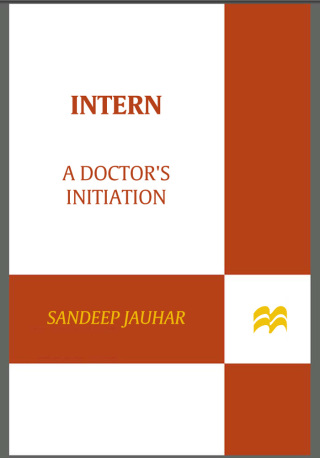 Cover image: Intern 9780374146597