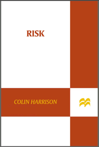 Imagen de portada: Risk 9780312428938