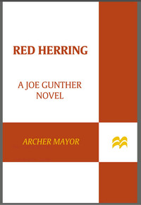 Cover image: Red Herring 9780312609290