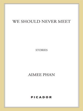 Cover image: We Should Never Meet 9780312322670