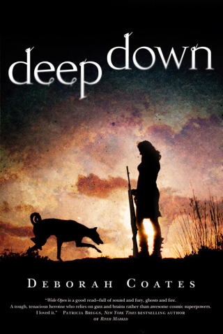Titelbild: Deep Down 9780765329004