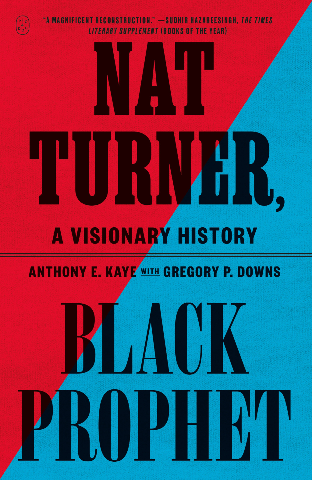 Nat Turner, Black Prophet A Visionary History