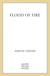 Cover image: Flood of Fire 9780374174248