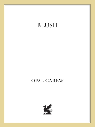 Imagen de portada: Blush 9780312367794