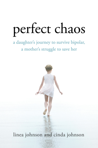 Cover image: Perfect Chaos 9781250023254