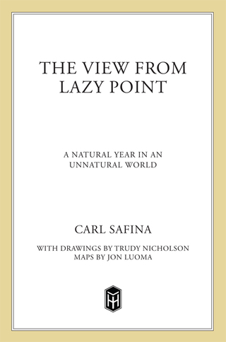 Cover image: The View from Lazy Point 9781250002716