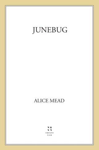 Imagen de portada: Junebug 9780374339647