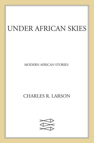 Cover image: Under African Skies 9780374211783