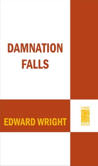 Imagen de portada: Damnation Falls 9780312380014
