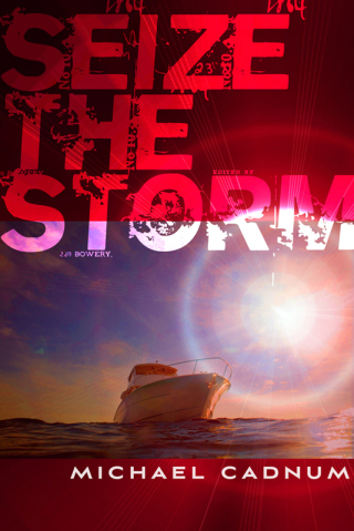 Imagen de portada: Seize the Storm 9780374367053