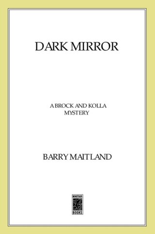 Titelbild: Dark Mirror 9780312383992