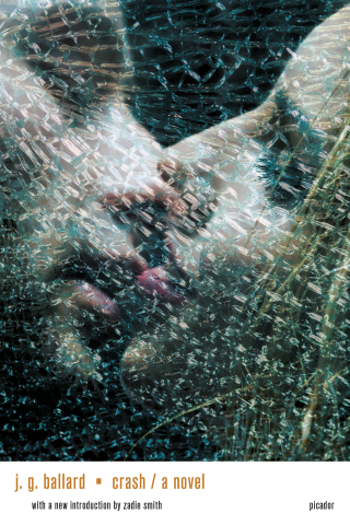 Cover image: Crash 9780312420338