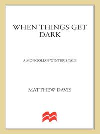 Cover image: When Things Get Dark 9780312607739