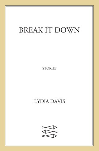 Imagen de portada: Break It Down 9780374116538