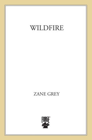 Imagen de portada: Wildfire 9780812590388