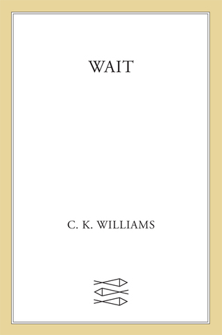 Imagen de portada: Wait 9780374285913