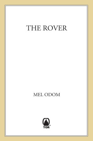Cover image: The Rover 9780312878825