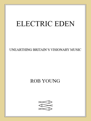 Cover image: Electric Eden 9780865478565
