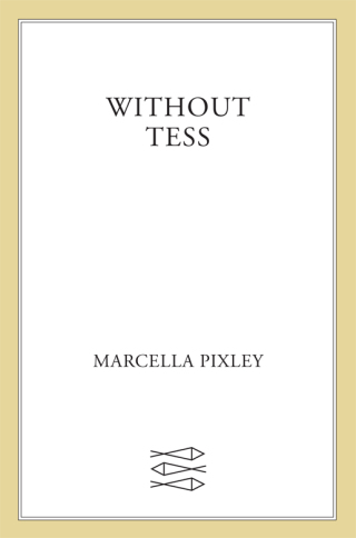Cover image: Without Tess 9780374361747