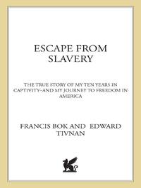 Cover image: Escape from Slavery 9780312306243