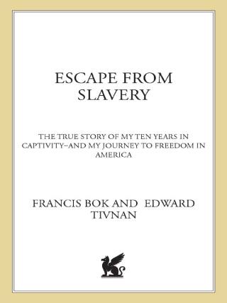 Cover image: Escape from Slavery 9780312306236