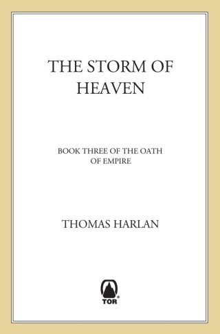 表紙画像: The Storm of Heaven 9780312865597