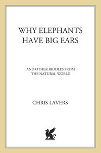 Cover image: Why Elephants Have Big Ears 9780312269029