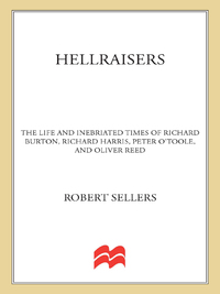Cover image: Hellraisers 9780312668143