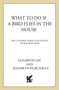 Cover image: What to Do If a Bird Flies in the House 9780312309398