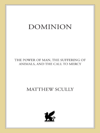 Cover image: Dominion 9780312261474