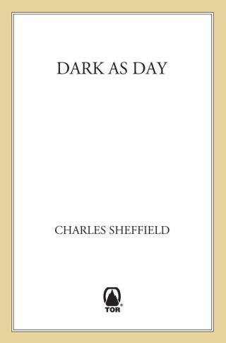 Imagen de portada: Dark as Day 9780312876340