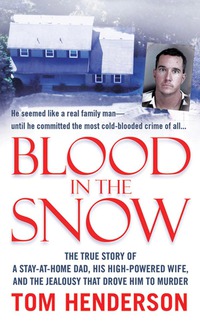 Cover image: Blood in the Snow 9780312948122