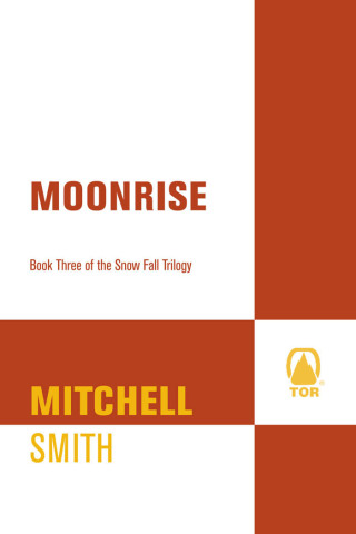 Imagen de portada: Moonrise 9780765300096
