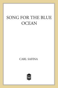 Cover image: Song for the Blue Ocean 9780805061222