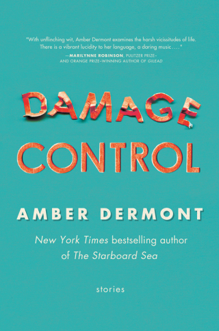 Imagen de portada: Damage Control 9780312642815