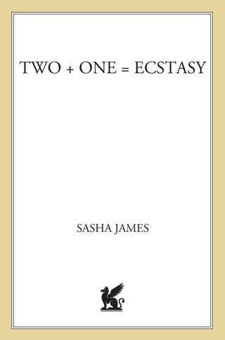 Cover image: Two + One = Ecstasy 9780312561086