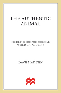 Cover image: The Authentic Animal 9781250014726