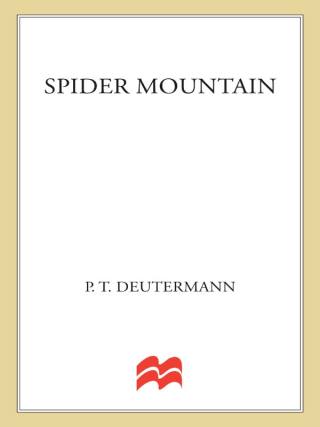 Cover image: Spider Mountain 9780312945930