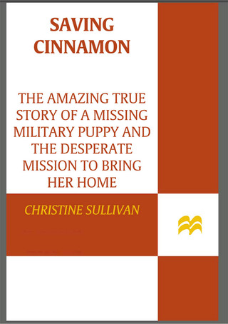 Imagen de portada: Saving Cinnamon 9780312649555