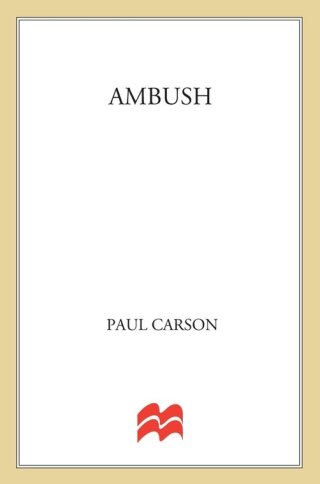 Imagen de portada: Ambush 9780312367114