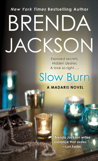 Imagen de portada: Slow Burn 9780312940492