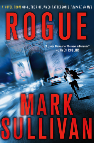 Imagen de portada: Rogue 9780312378516